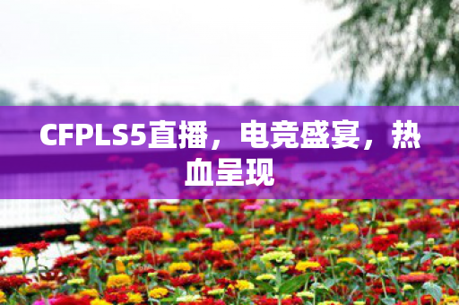 CFPLS5直播,电竞盛宴,热血呈现 CFPLS5直播,电竞盛宴,热血呈现