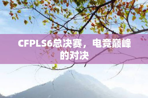 CFPLS6总决赛，电竞巅峰的对决