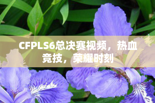 CFPLS6总决赛视频，热血竞技，荣耀时刻