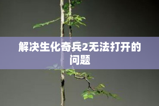 解决生化奇兵2无法打开的问题 解决生化奇兵2无法打开的问题