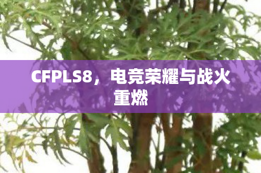 CFPLS8,电竞荣耀与战火重燃 CFPLS8,电竞荣耀与战火重燃