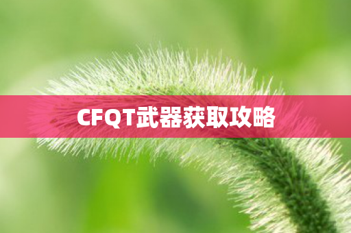 CFQT武器获取攻略