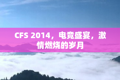 CFS 2014，电竞盛宴，激情燃烧的岁月