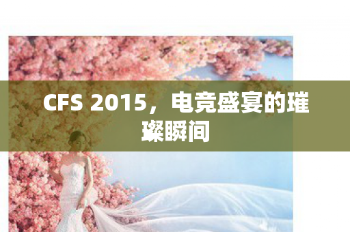 CFS 2015,电竞盛宴的璀璨瞬间 CFS 2015,电竞盛宴的璀璨瞬间