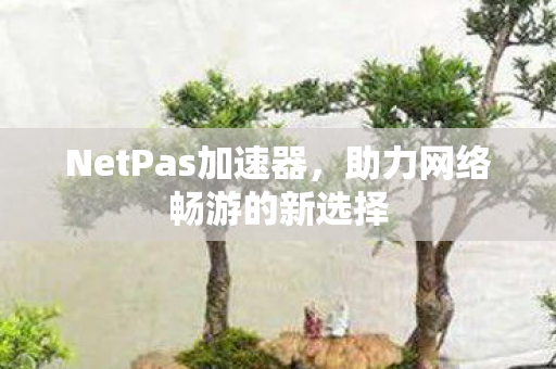 NetPas加速器，助力网络畅游的新选择