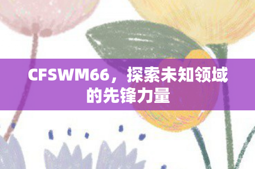 CFSWM66，探索未知领域的先锋力量