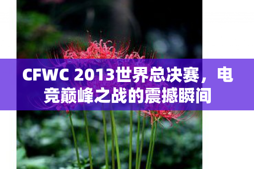 CFWC 2013世界总决赛,电竞巅峰之战的震撼瞬间 CFWC 2013世界总决赛,电竞巅峰之战的震撼瞬间