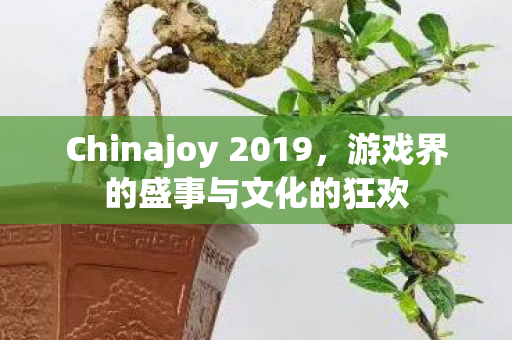 Chinajoy 2019，游戏界的盛事与文化的狂欢