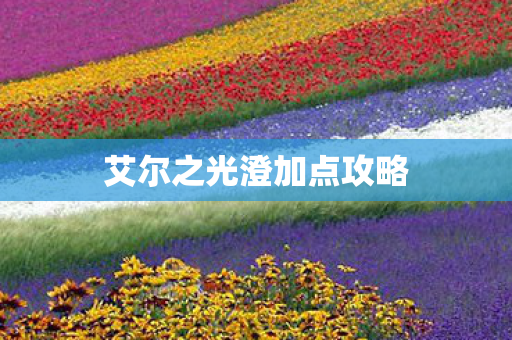 艾尔之光澄加点攻略