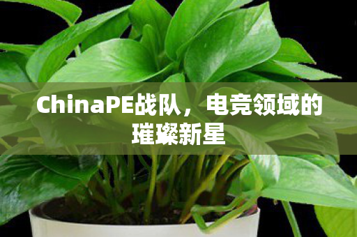 ChinaPE战队,电竞领域的璀璨新星 ChinaPE战队,电竞领域的璀璨新星