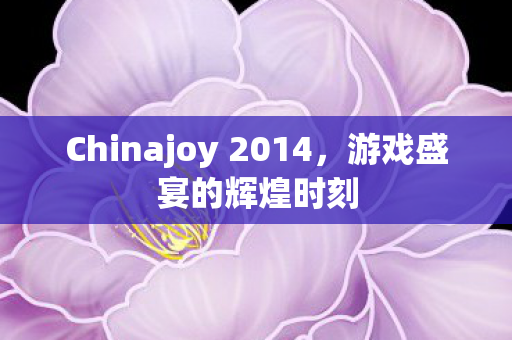 Chinajoy 2014，游戏盛宴的辉煌时刻