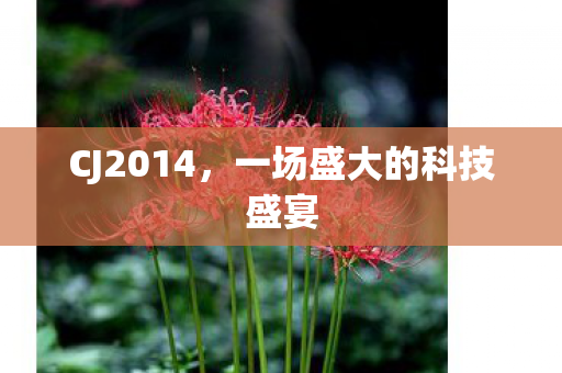 CJ2014，一场盛大的科技盛宴