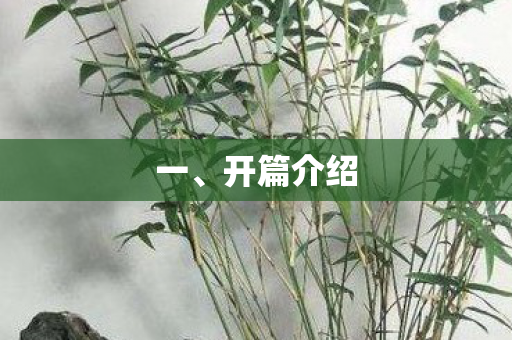 一、开篇介绍