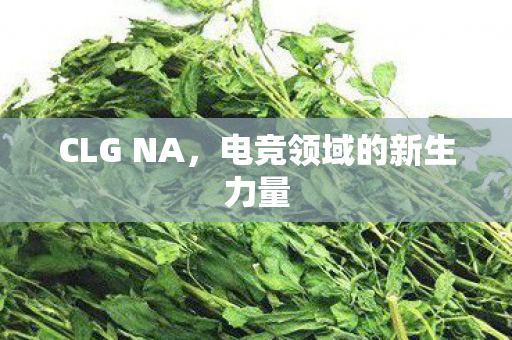 CLG NA，电竞领域的新生力量