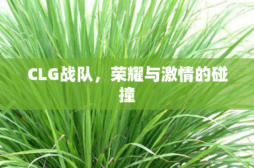 CLG战队，荣耀与激情的碰撞