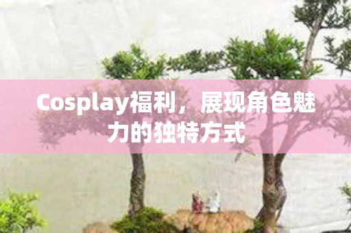 Cosplay福利,展现角色魅力的独特方式 Cosplay福利,展现角色魅力的独特方式