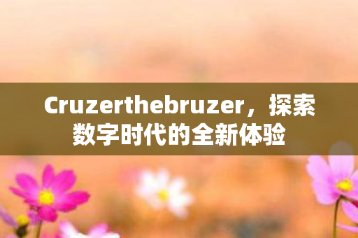 Cruzerthebruzer，探索数字时代的全新体验