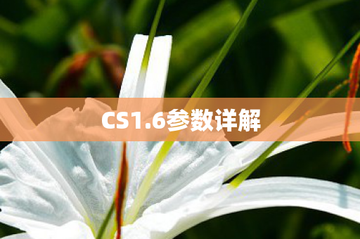 CS1.6参数详解 CS1.6参数详解