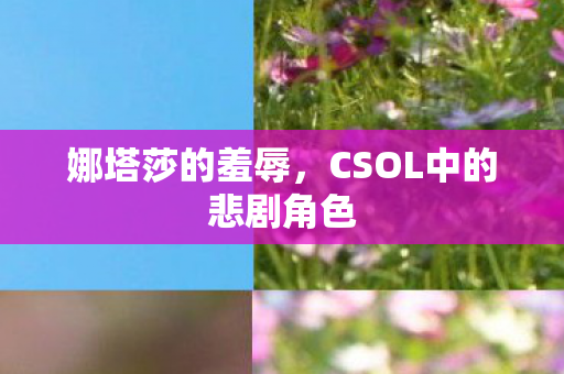 娜塔莎的羞辱,CSOL中的悲剧角色 娜塔莎的羞辱,CSOL中的悲剧角色