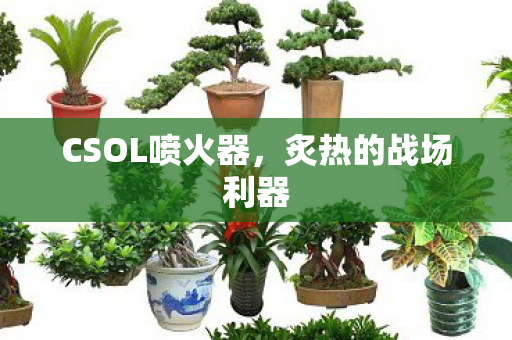 CSOL喷火器，炙热的战场利器