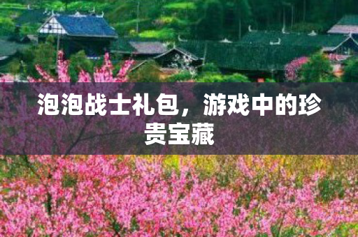 泡泡战士礼包，游戏中的珍贵宝藏