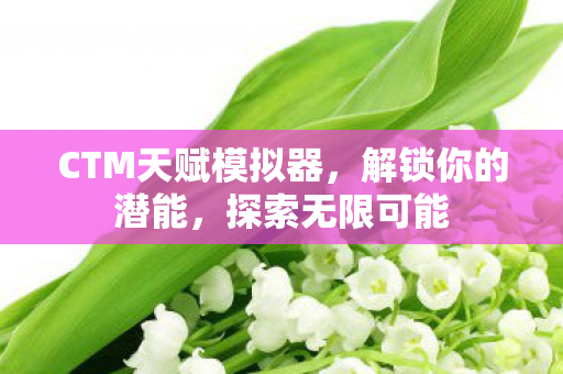 CTM天赋模拟器，解锁你的潜能，探索无限可能