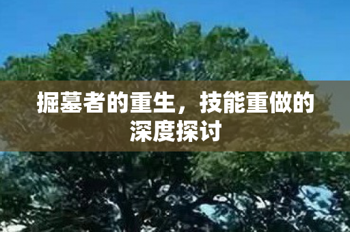 掘墓者的重生，技能重做的深度探讨
