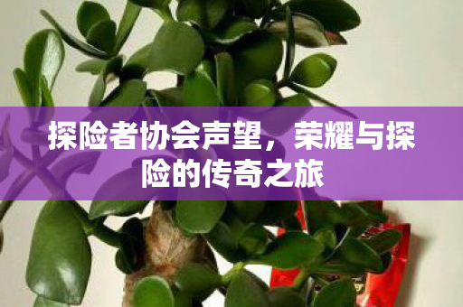 探险者协会声望，荣耀与探险的传奇之旅