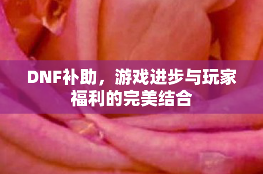 DNF补助，游戏进步与玩家福利的完美结合