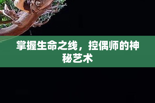 掌握生命之线,控偶师的神秘艺术 掌握生命之线,控偶师的神秘艺术