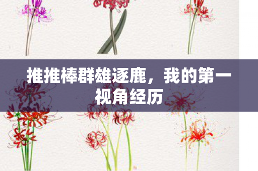 推推棒群雄逐鹿，我的第一视角经历