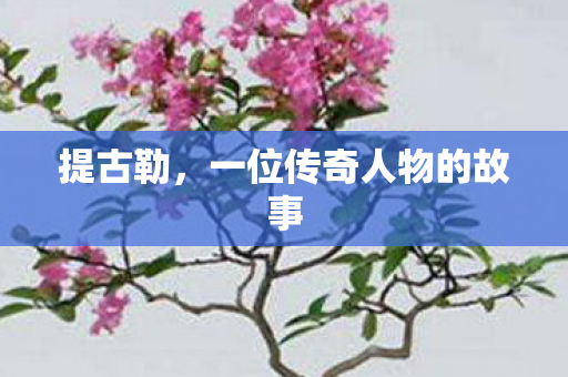 提古勒，一位传奇人物的故事