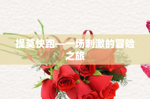 提莫快跑—一场刺激的冒险之旅