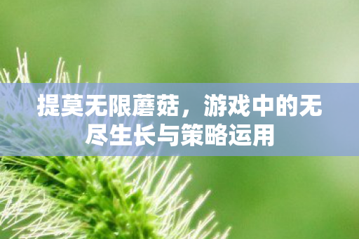 提莫无限蘑菇，游戏中的无尽生长与策略运用