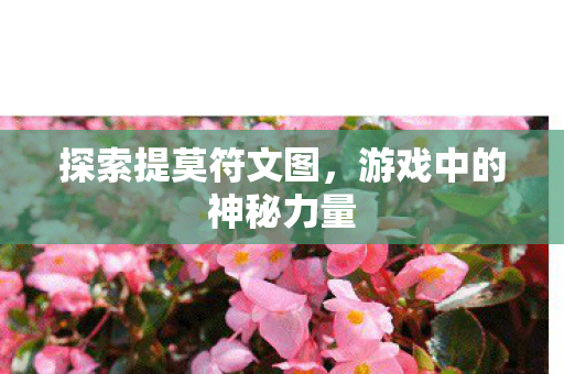 探索提莫符文图,游戏中的神秘力量 探索提莫符文图,游戏中的神秘力量