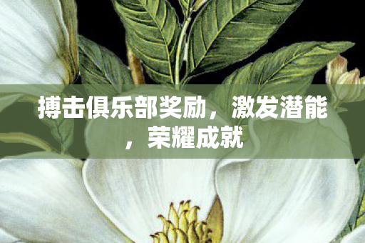 搏击俱乐部奖励,激发潜能,荣耀成就 搏击俱乐部奖励,激发潜能,荣耀成就