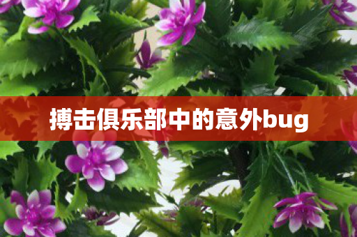 搏击俱乐部中的意外bug 搏击俱乐部中的意外bug