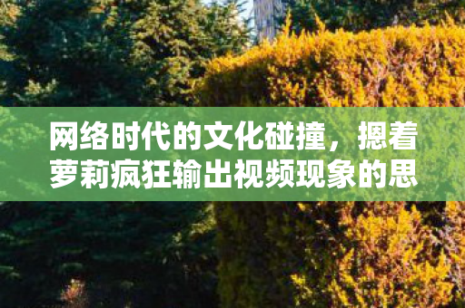 网络时代的文化碰撞，摁着萝莉疯狂输出视频现象的思考