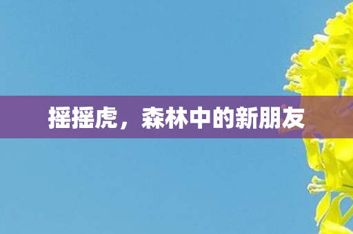摇摇虎,森林中的新朋友 摇摇虎,森林中的新朋友