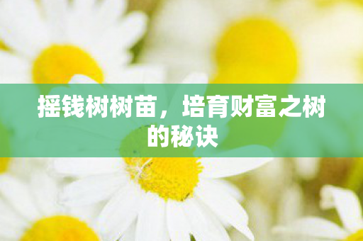摇钱树树苗，培育财富之树的秘诀