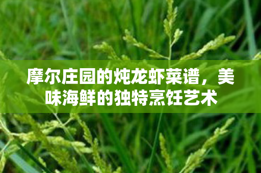 摩尔庄园的炖龙虾菜谱，美味海鲜的独特烹饪艺术