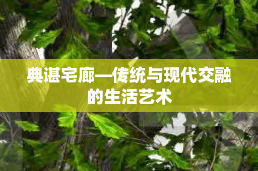 典谌宅廊—传统与现代交融的生活艺术 典谌宅廊—传统与现代交融的生活艺术