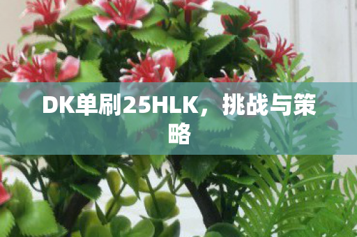 DK单刷25HLK，挑战与策略