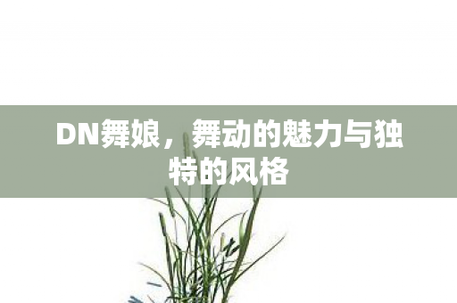DN舞娘，舞动的魅力与独特的风格