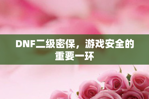 DNF二级密保,游戏安全的重要一环 DNF二级密保,游戏安全的重要一环