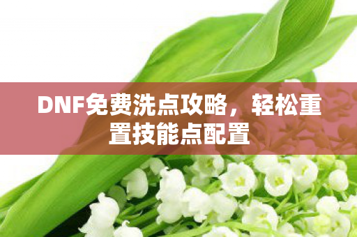 DNF免费洗点攻略，轻松重置技能点配置