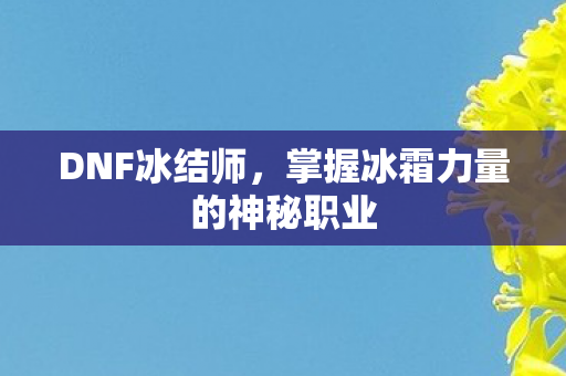 DNF冰结师，掌握冰霜力量的神秘职业