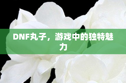 DNF丸子，游戏中的独特魅力