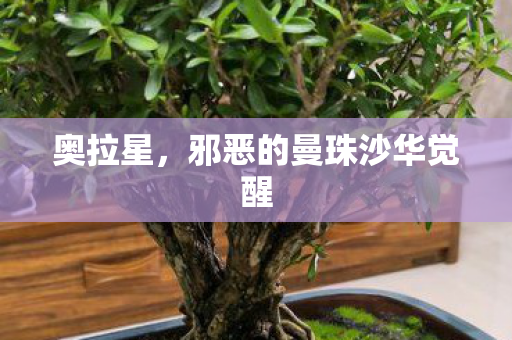奥拉星，邪恶的曼珠沙华觉醒