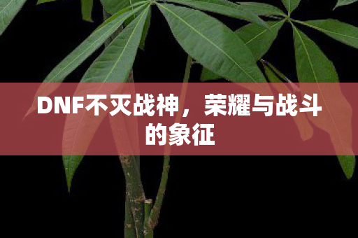 DNF不灭战神，荣耀与战斗的象征